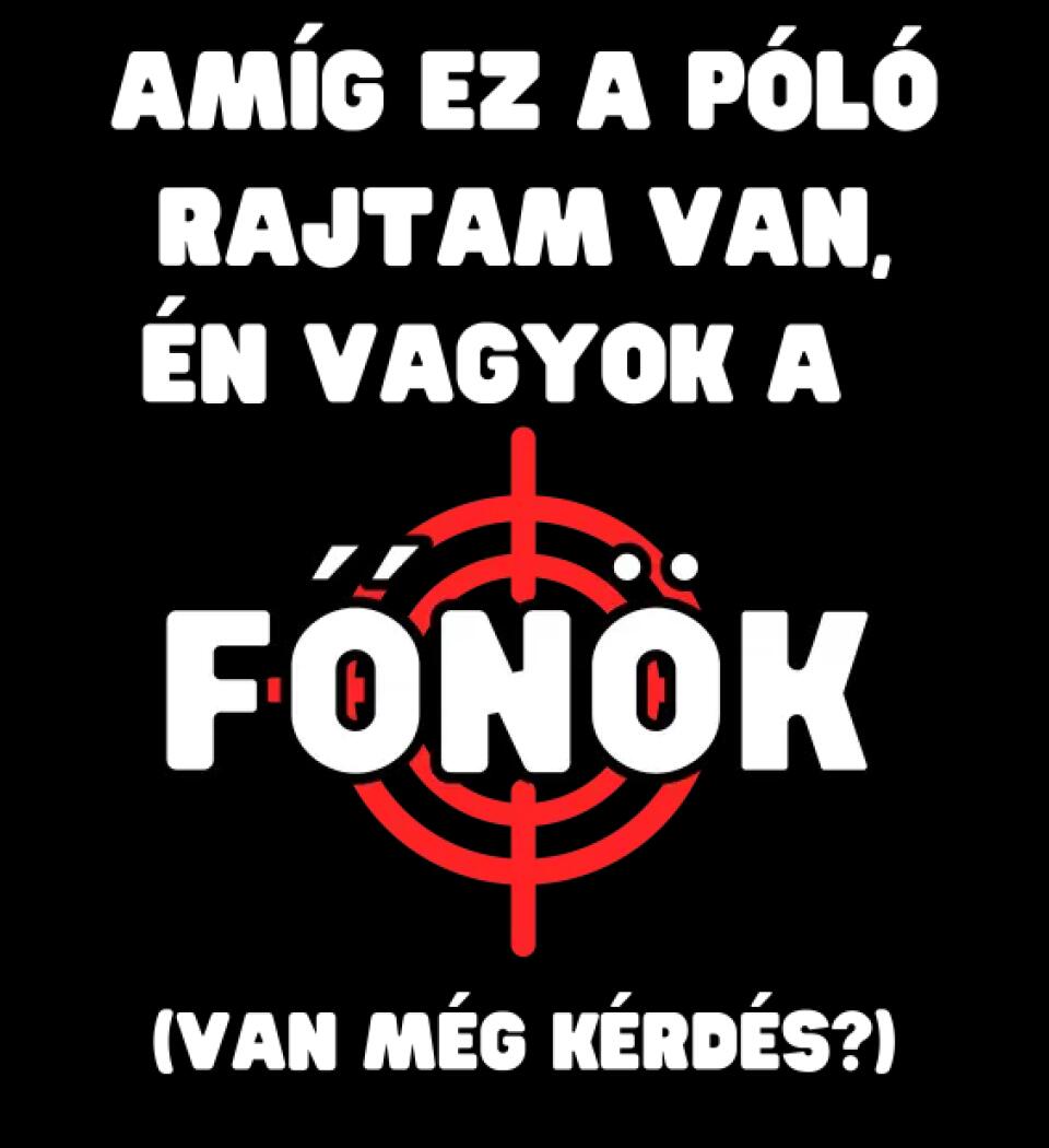 AMÍG EZ A PÓLÓ RAJTAM VAN, ÉN VAGYOK A  FŐNÖK