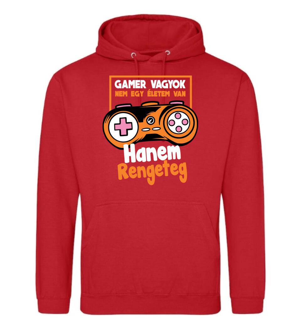 Gamer vagyok sok élettel