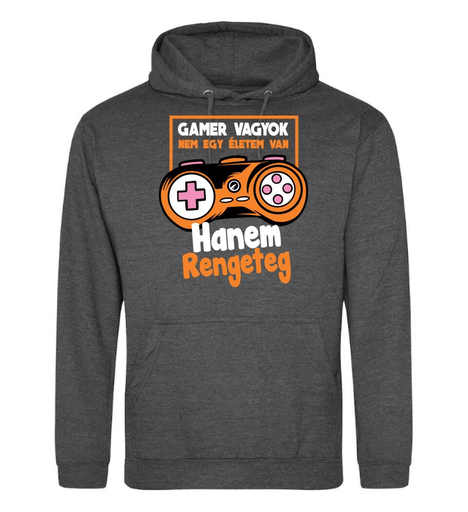 Gamer vagyok sok élettel