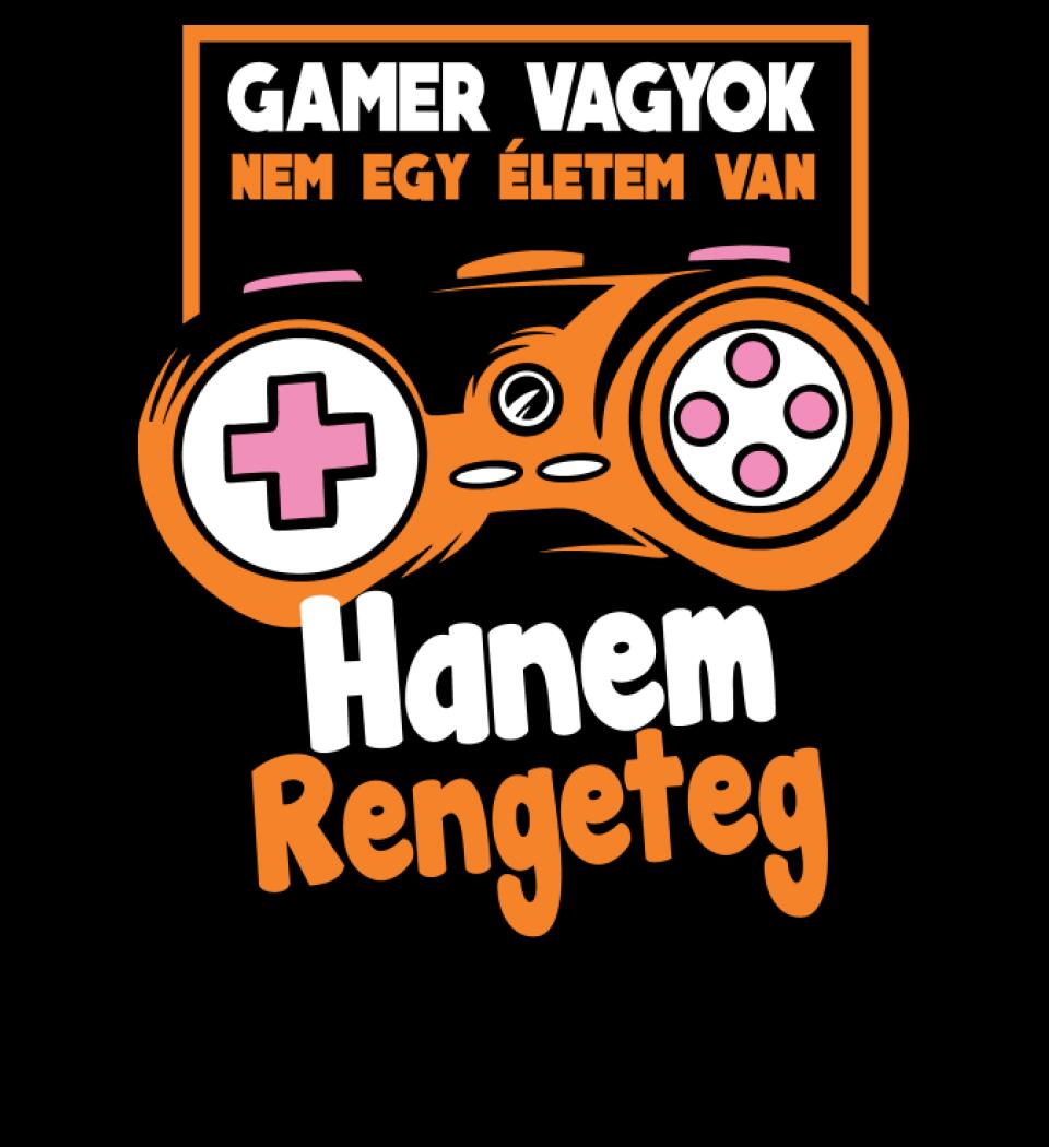 Gamer vagyok sok élettel
