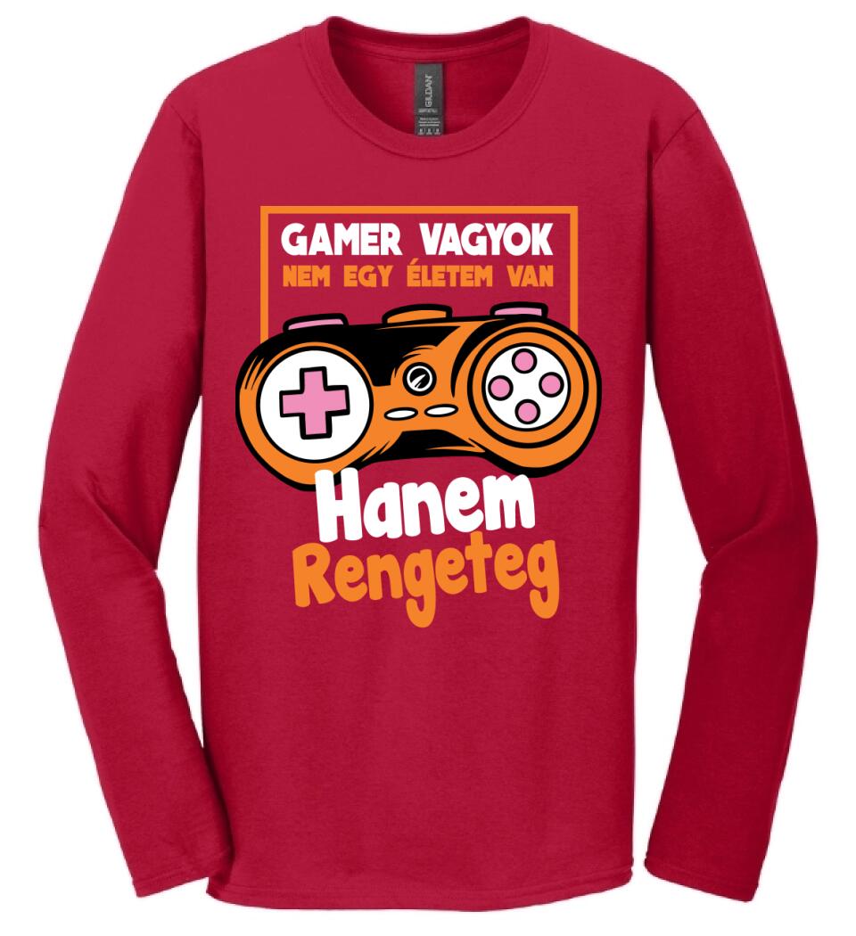 Gamer vagyok sok élettel