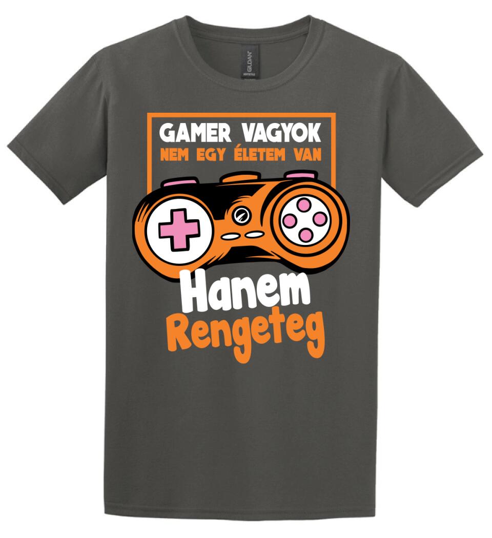 Gamer vagyok sok élettel