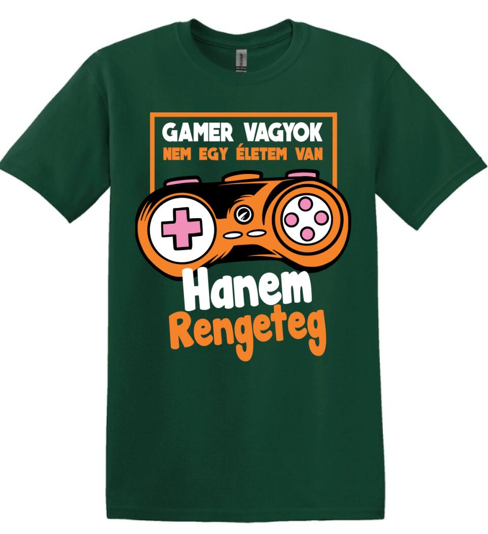 Gamer vagyok sok élettel