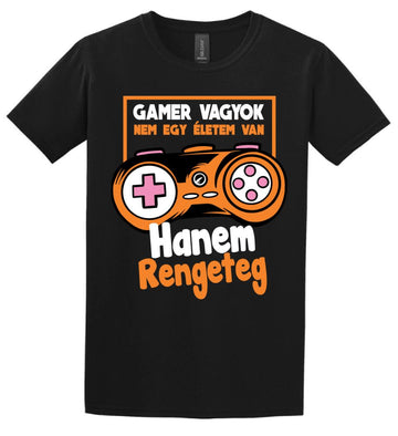 Gamer vagyok sok élettel