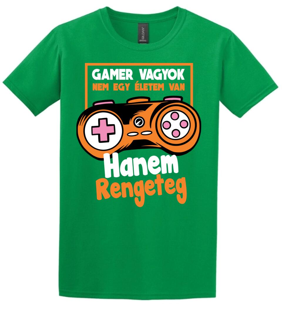 Gamer vagyok sok élettel