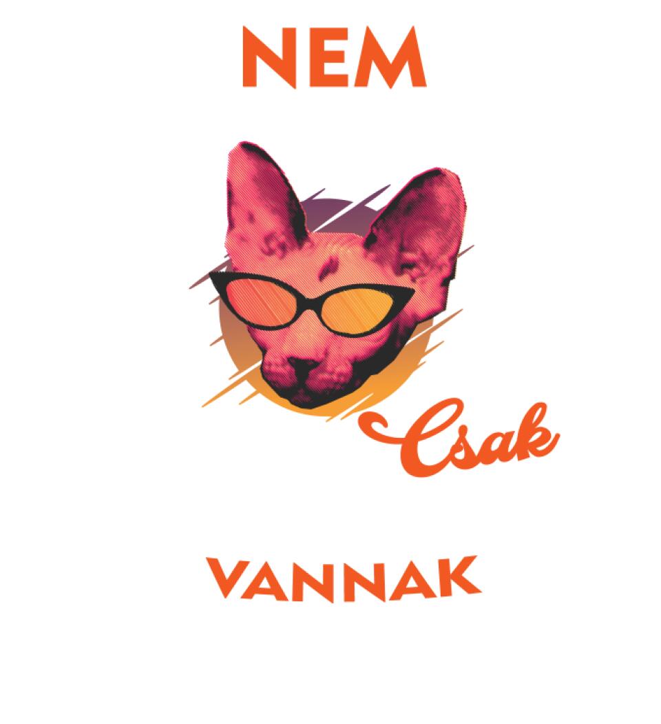 Csak legénybúcsún vannak