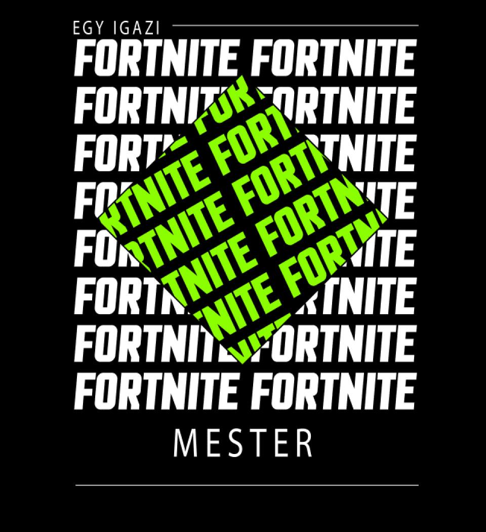 Fortnite mester