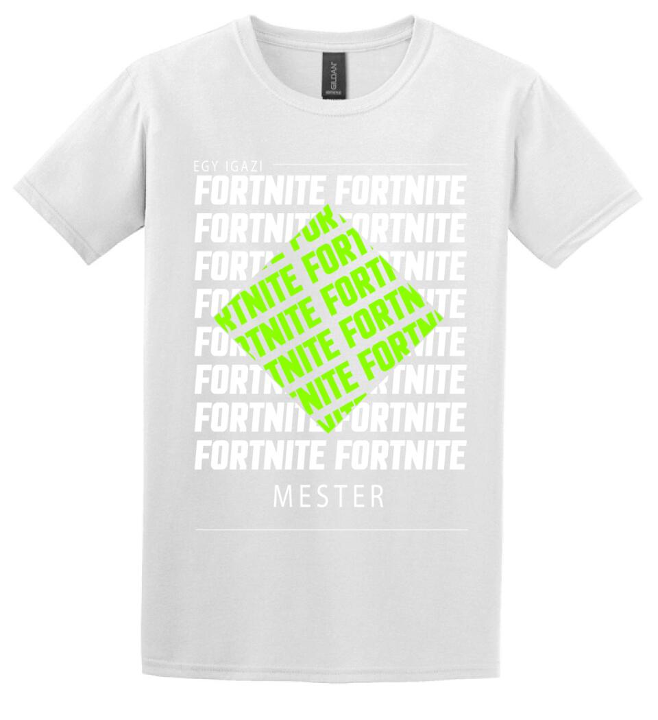 Fortnite mester