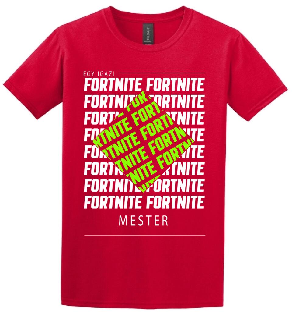 Fortnite mester
