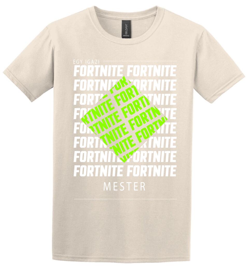 Fortnite mester