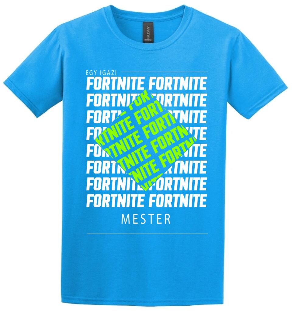 Fortnite mester