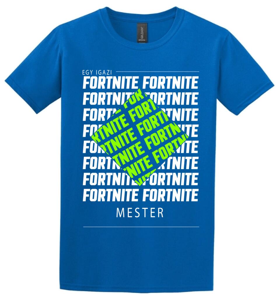 Fortnite mester