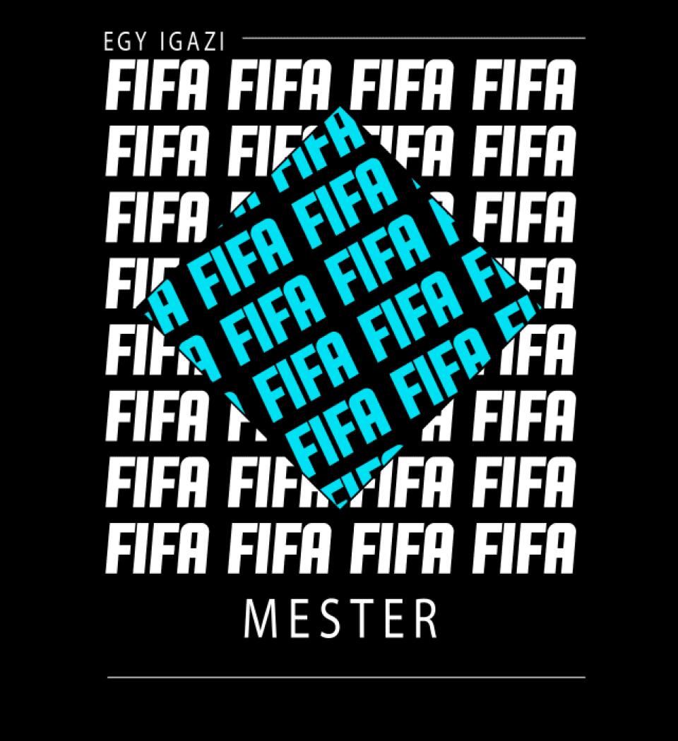 FIFA mester