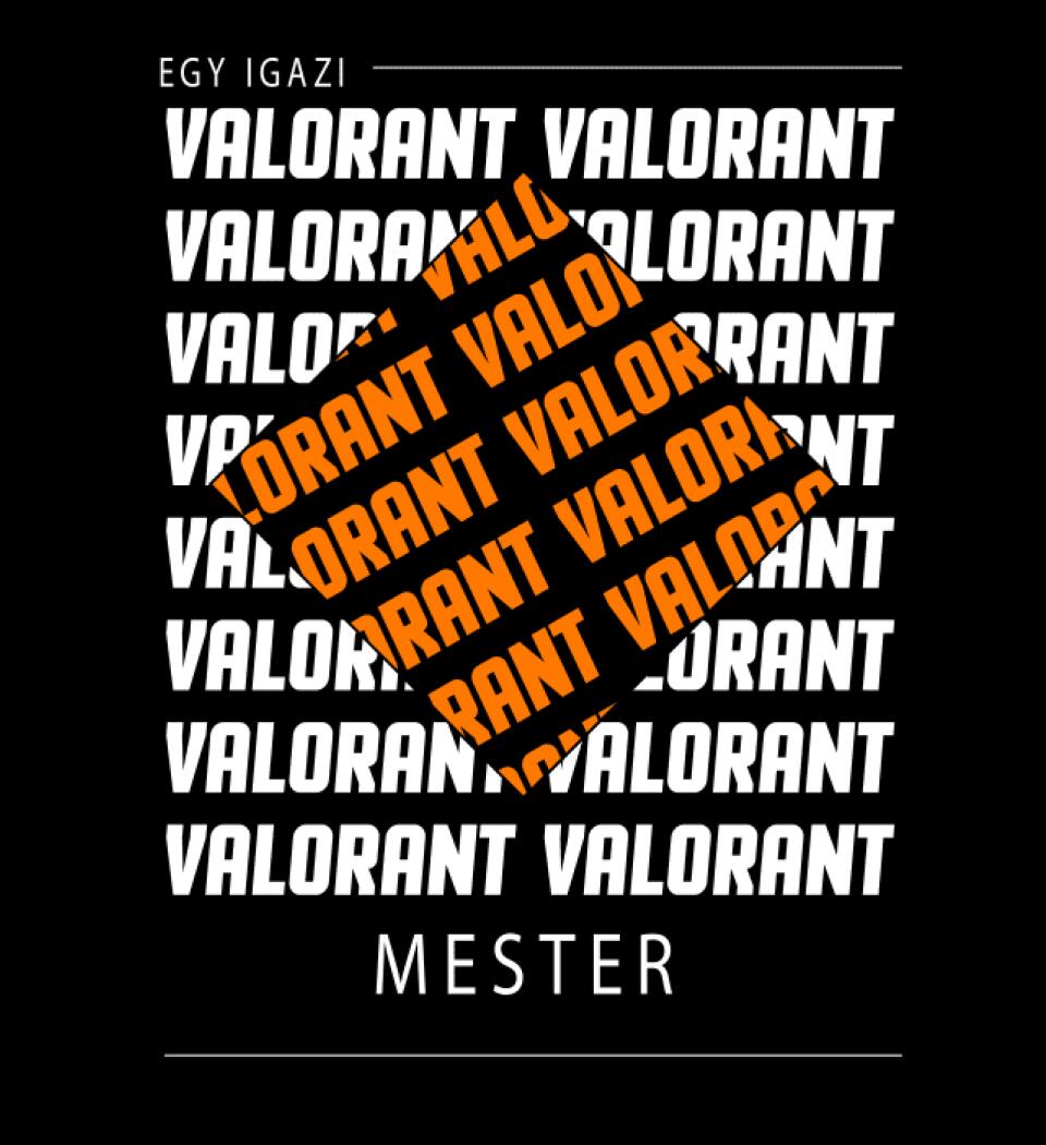 VALORANT MESTER