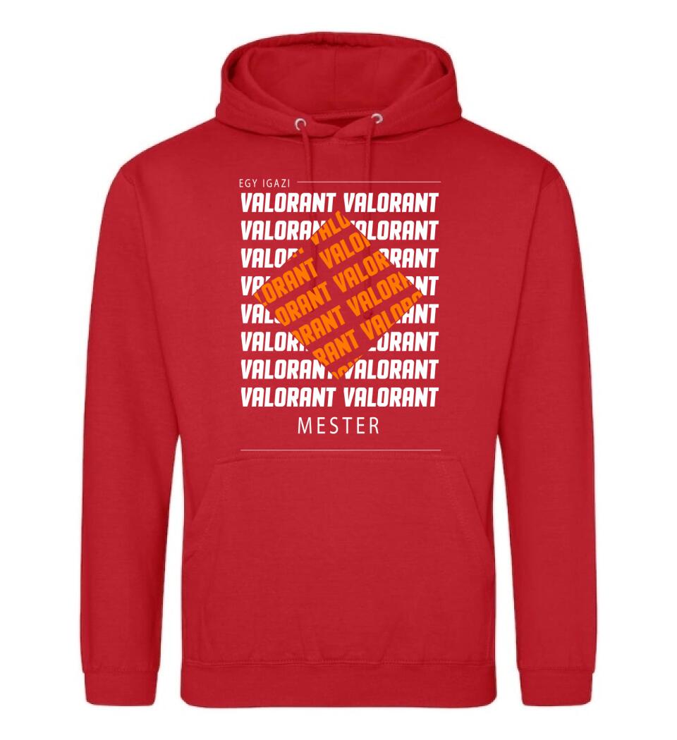 VALORANT MESTER