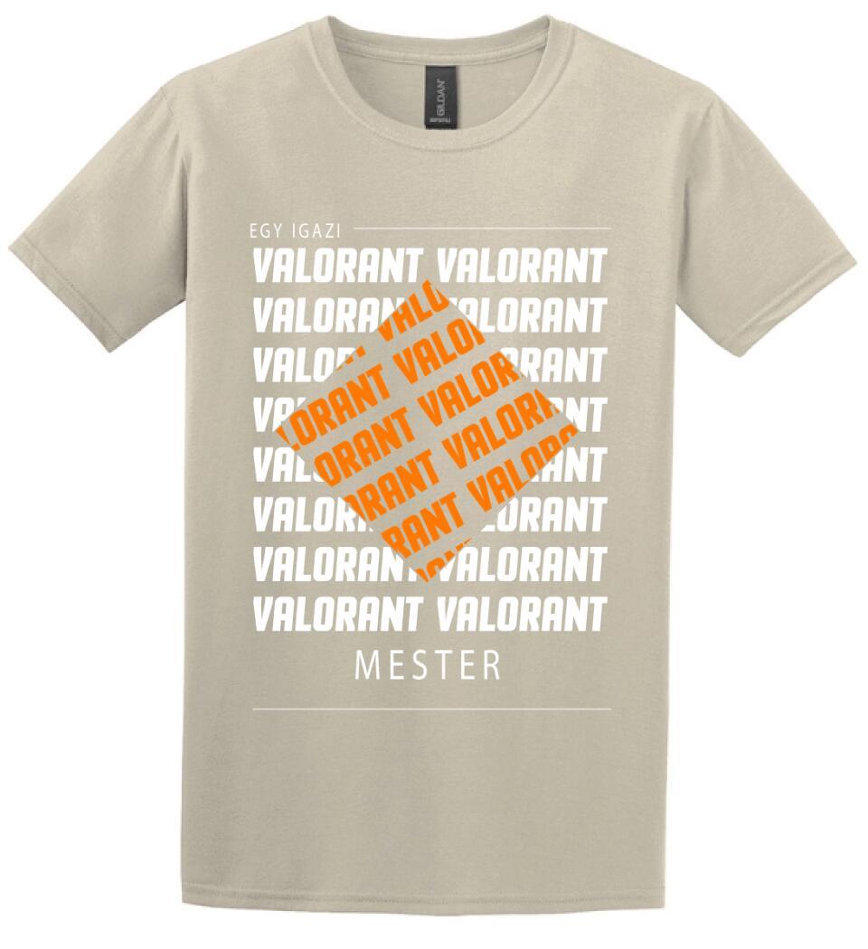 VALORANT MESTER