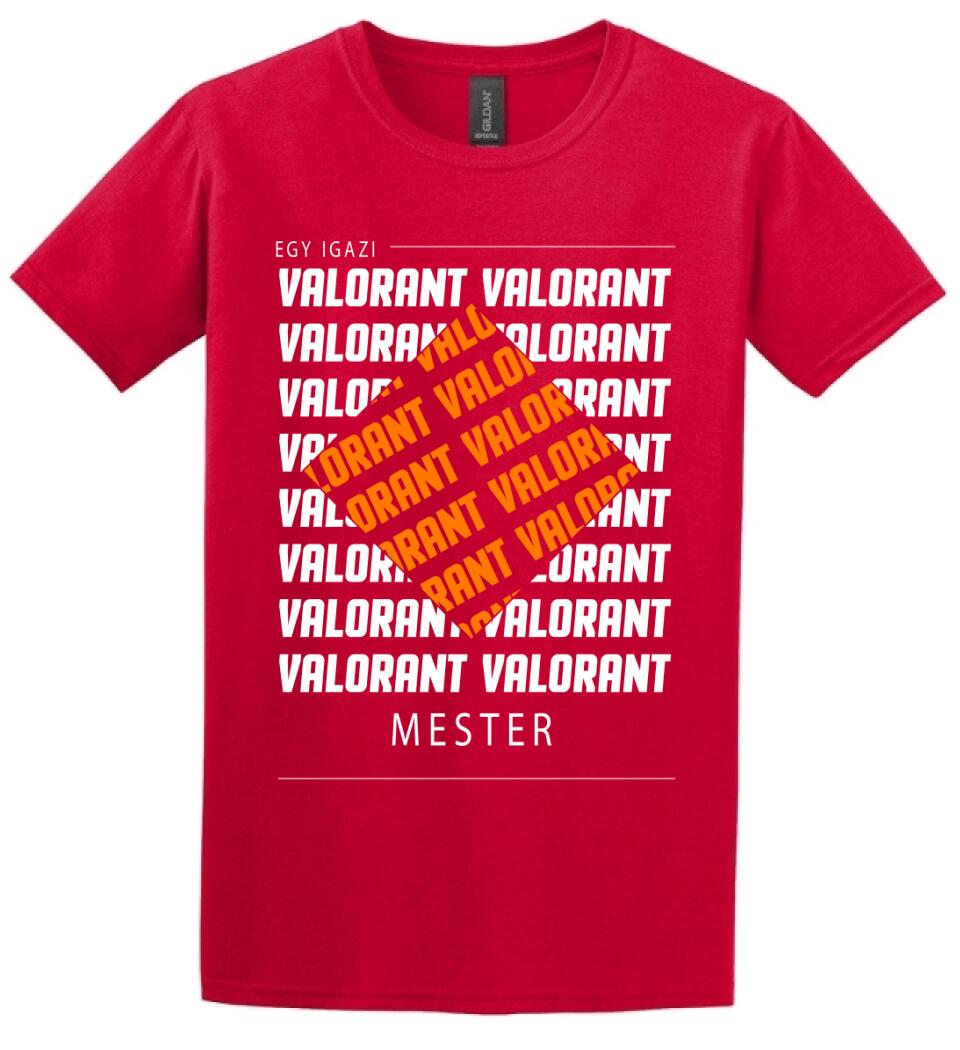 VALORANT MESTER