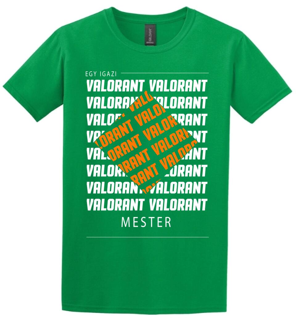 VALORANT MESTER