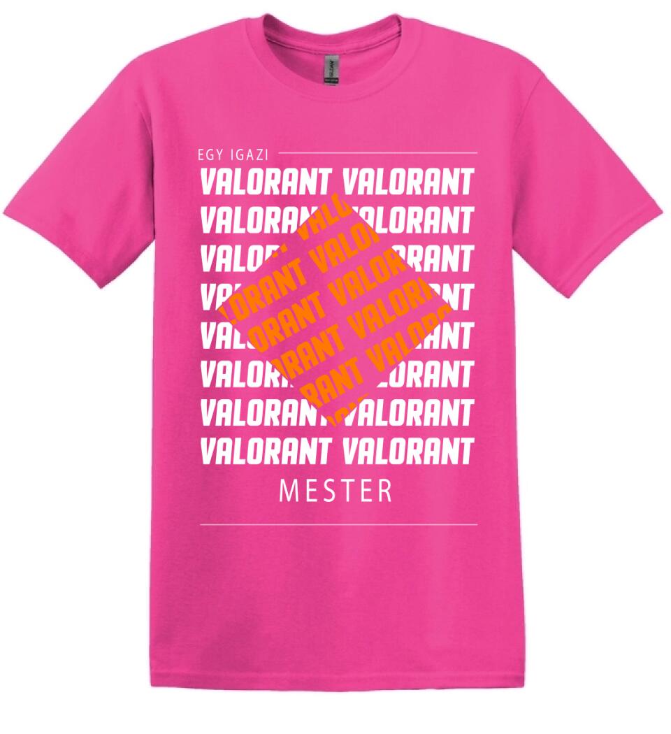 VALORANT MESTER