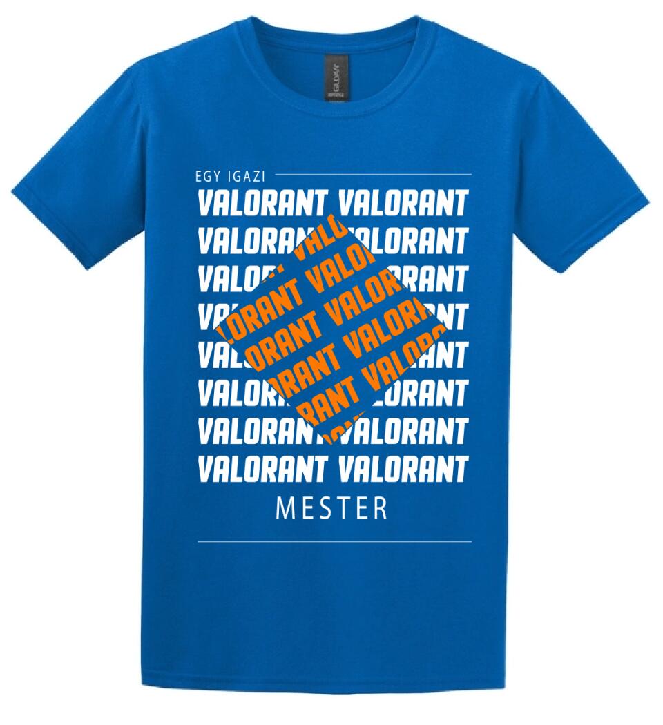 VALORANT MESTER