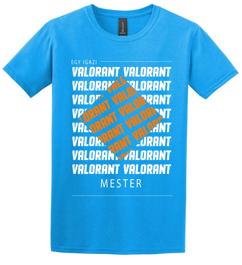 VALORANT MESTER