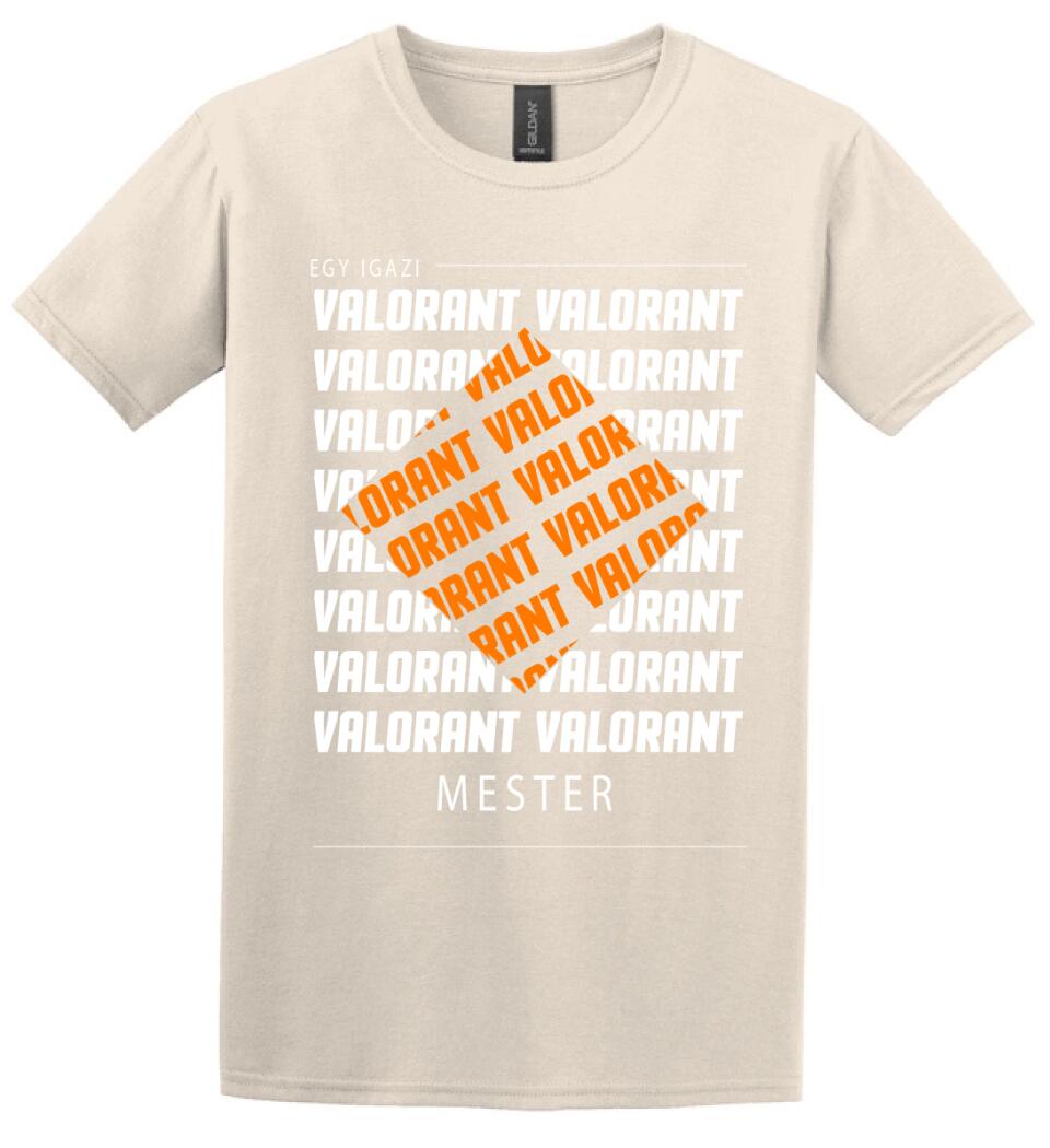 VALORANT MESTER