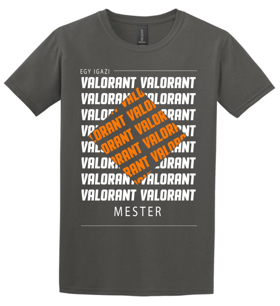 VALORANT MESTER
