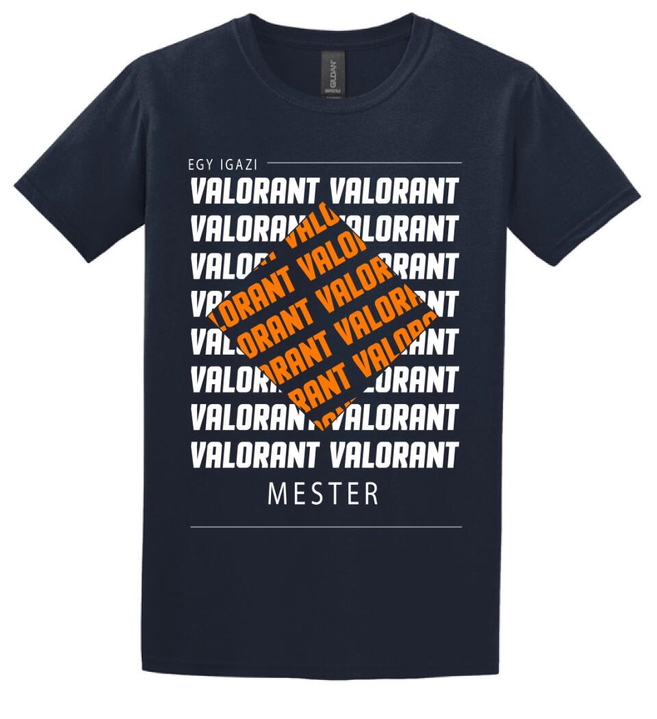 VALORANT MESTER