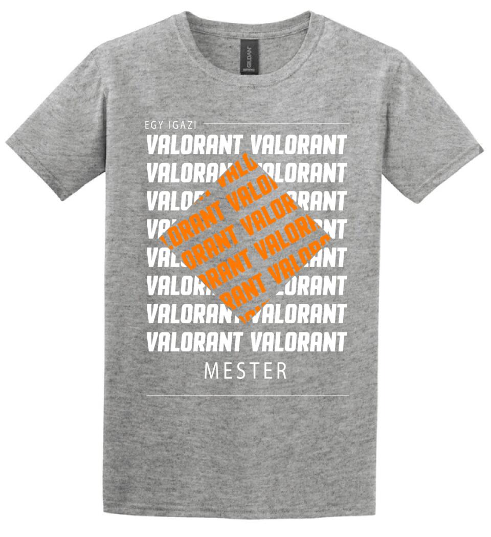 VALORANT MESTER