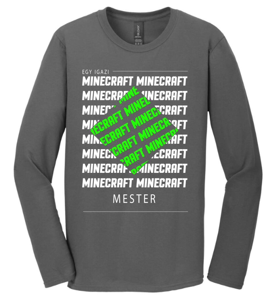 MINECRAFT MESTER