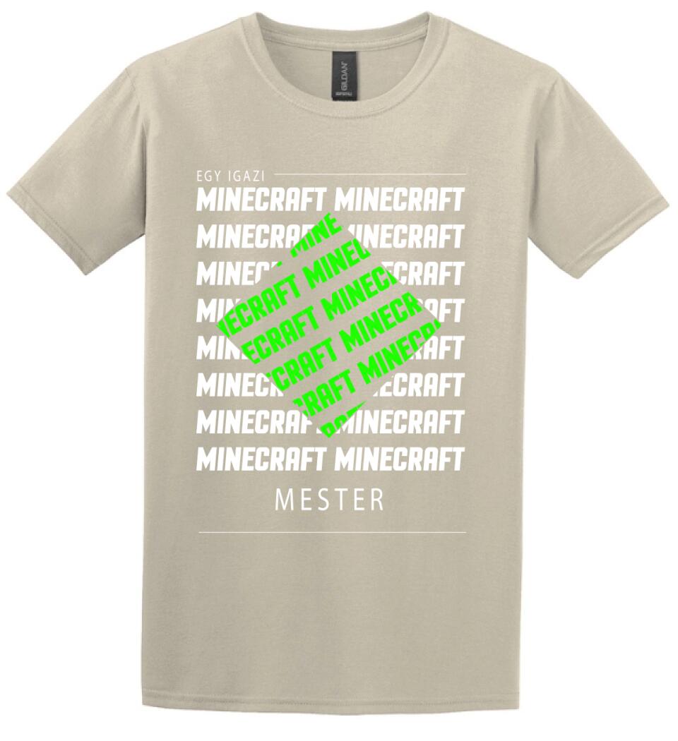 MINECRAFT MESTER