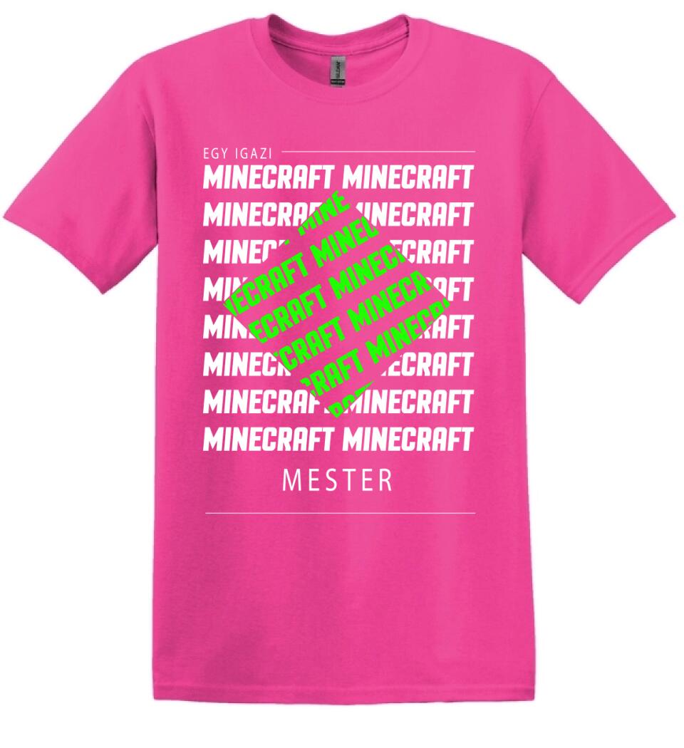 MINECRAFT MESTER