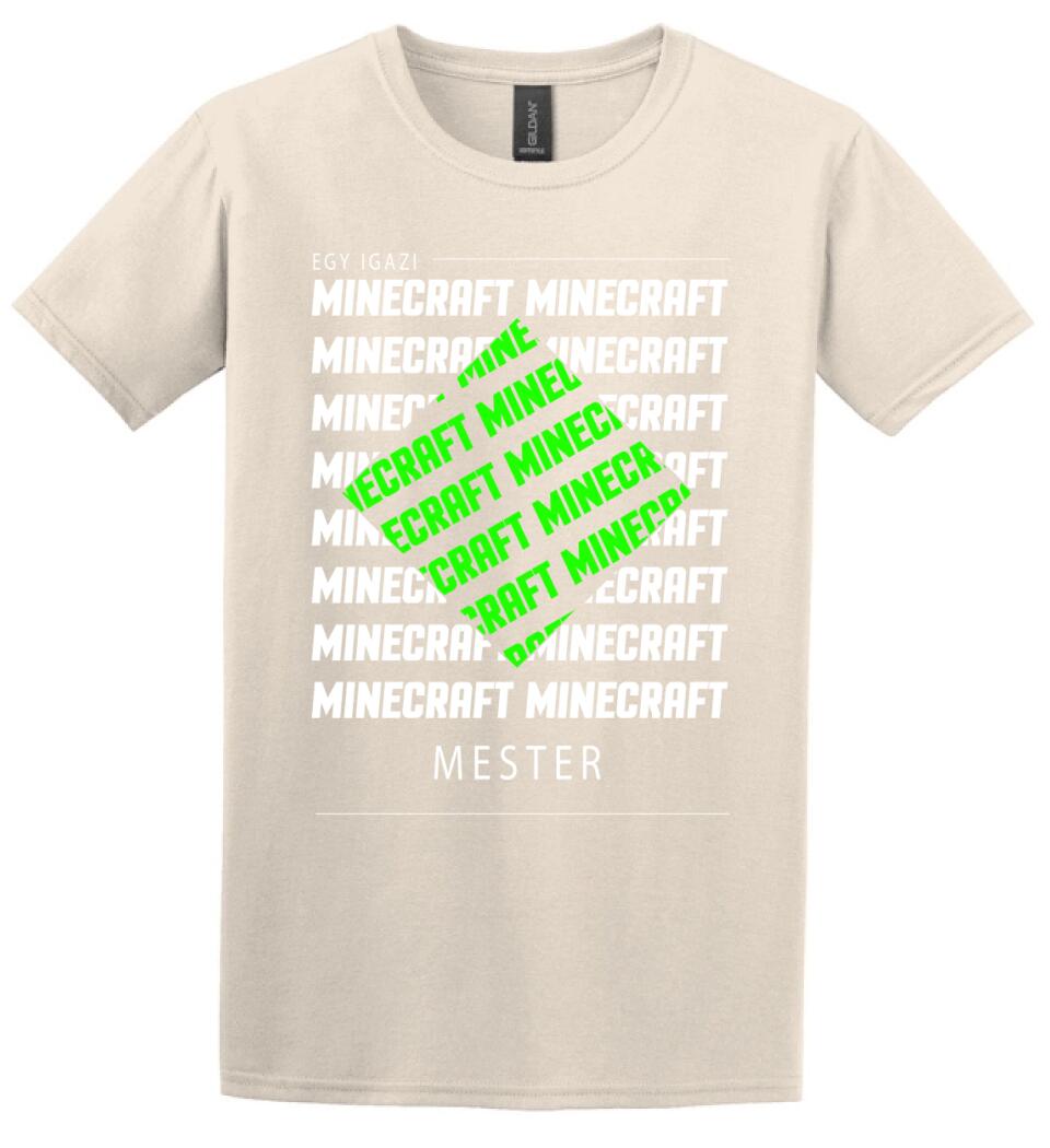 MINECRAFT MESTER