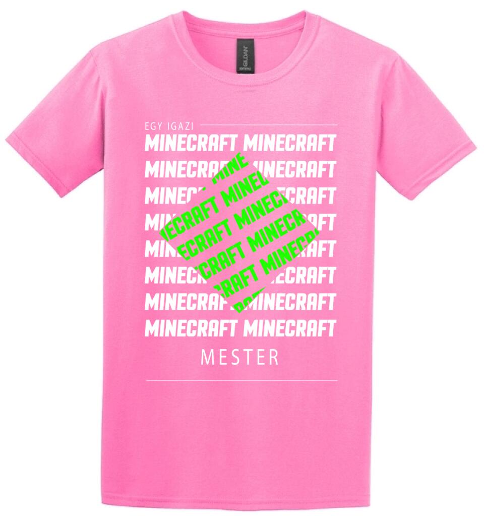 MINECRAFT MESTER