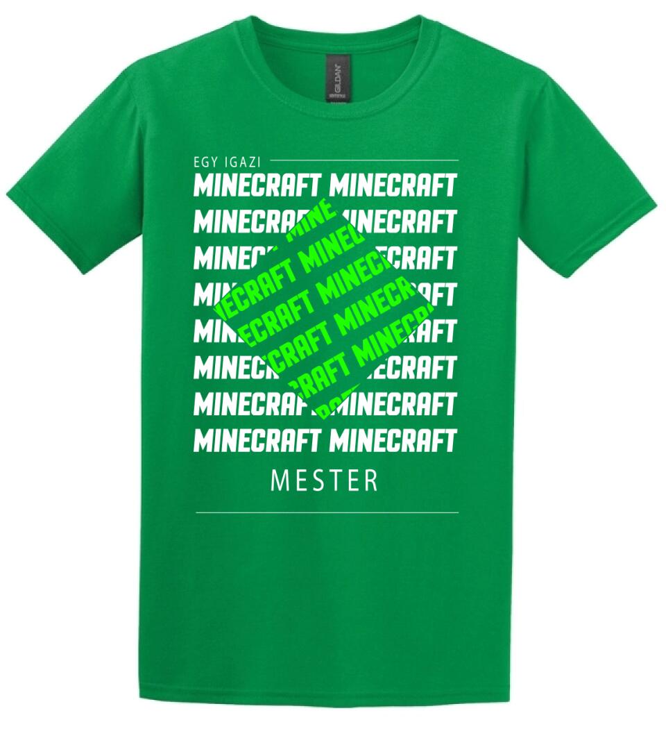 MINECRAFT MESTER
