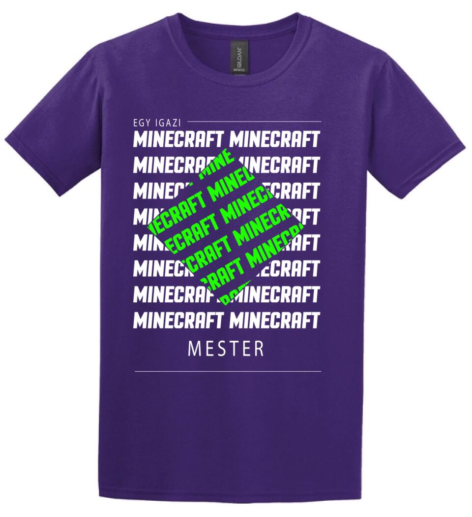 MINECRAFT MESTER