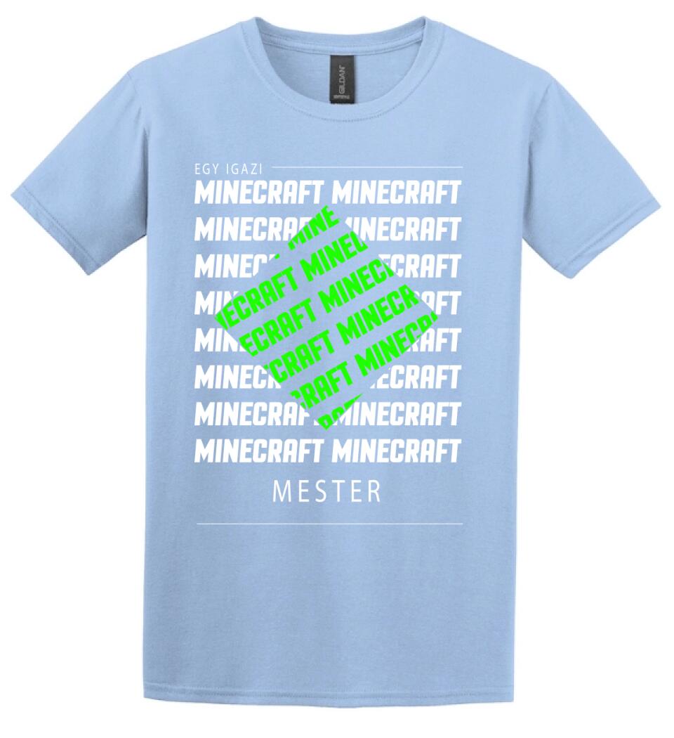 MINECRAFT MESTER