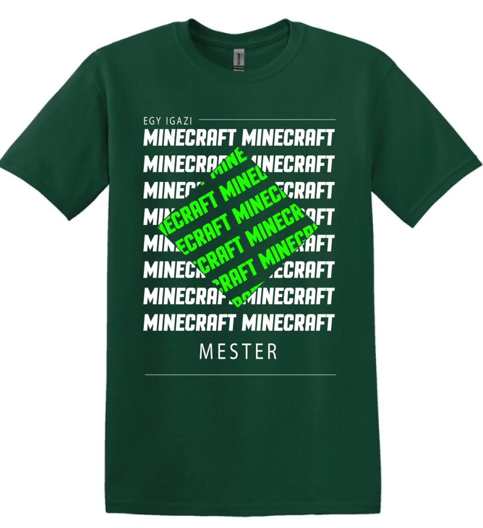 MINECRAFT MESTER