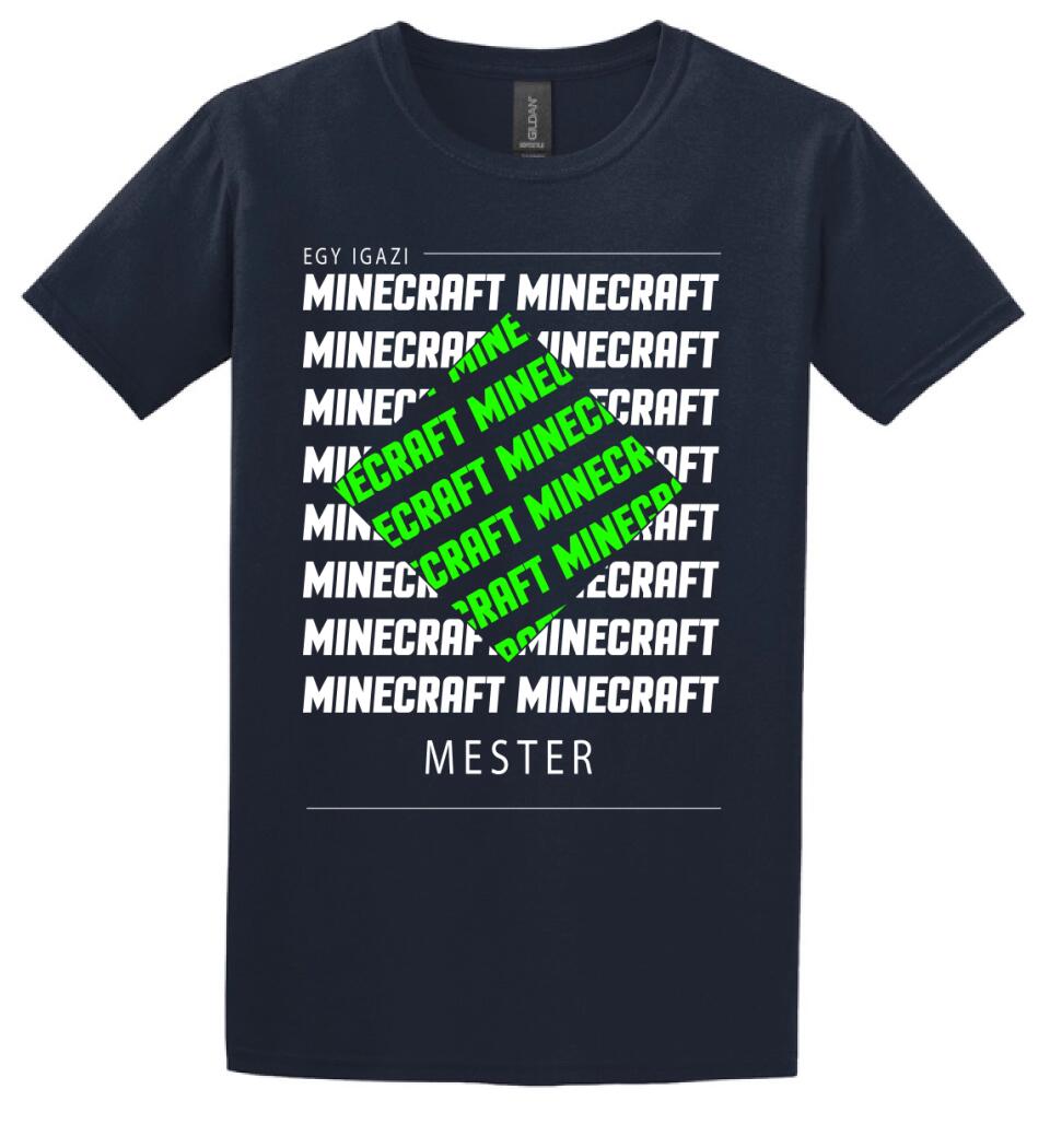 MINECRAFT MESTER