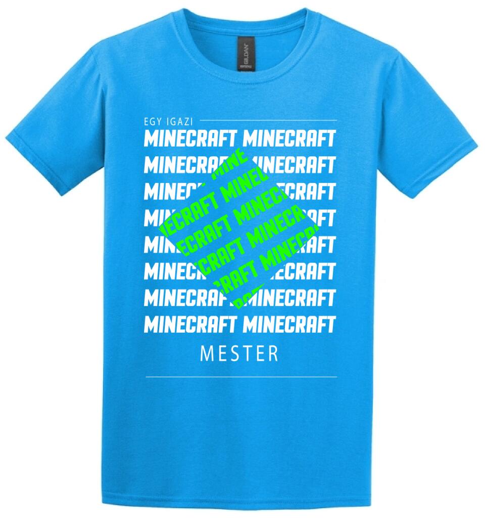 MINECRAFT MESTER