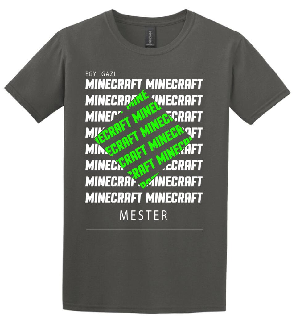MINECRAFT MESTER