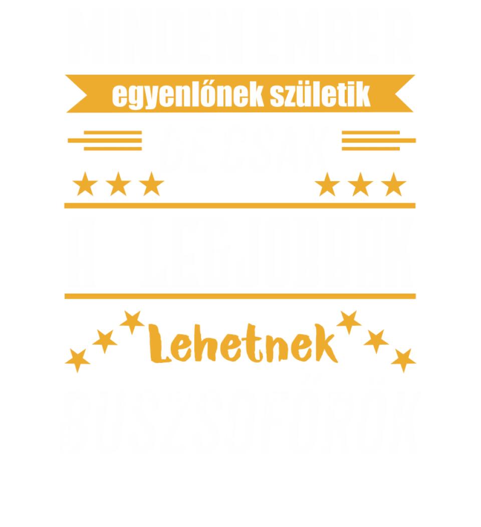 A legjobbak lehetnek buszsofőrök