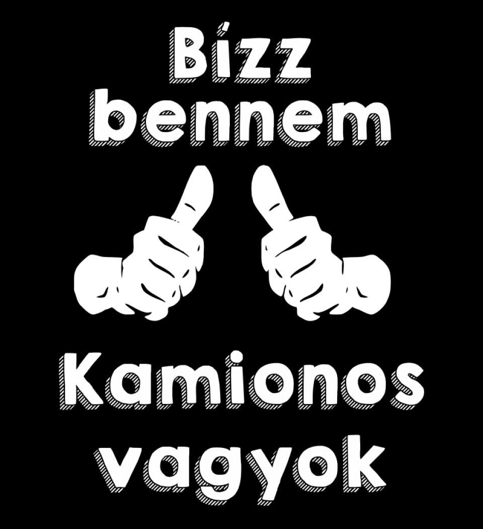 Bízz bennem kamionos vagyok