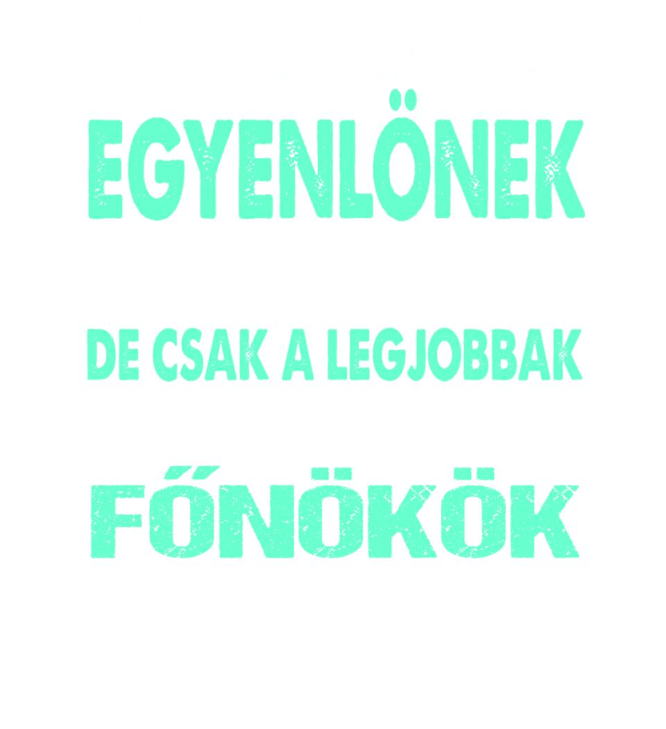 LEGJOBBAK A FŐNÖKÖK PÓLÓ