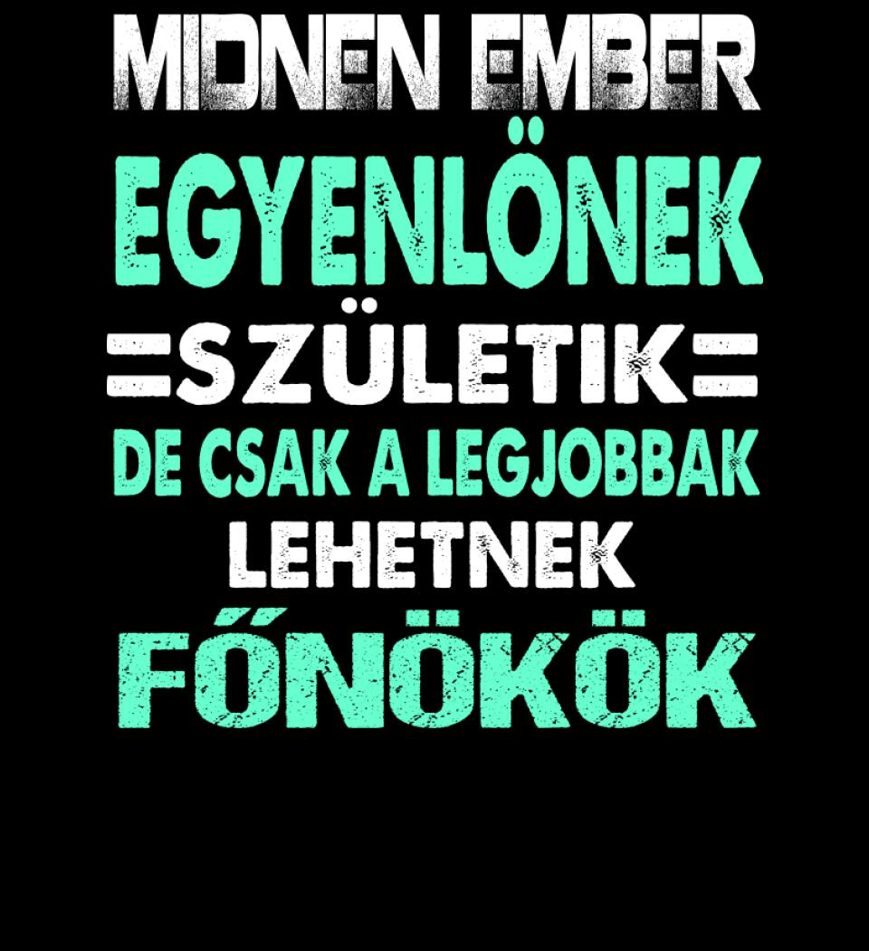 LEGJOBBAK A FŐNÖKÖK PÓLÓ