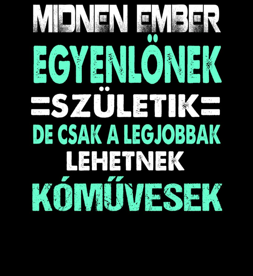 LEGJOBBAK A KŐMŰVESEK PÓLÓ