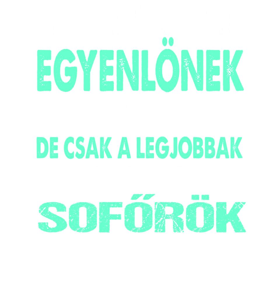 LEGJOBBAK A SOFŐRÖK PÓLÓ