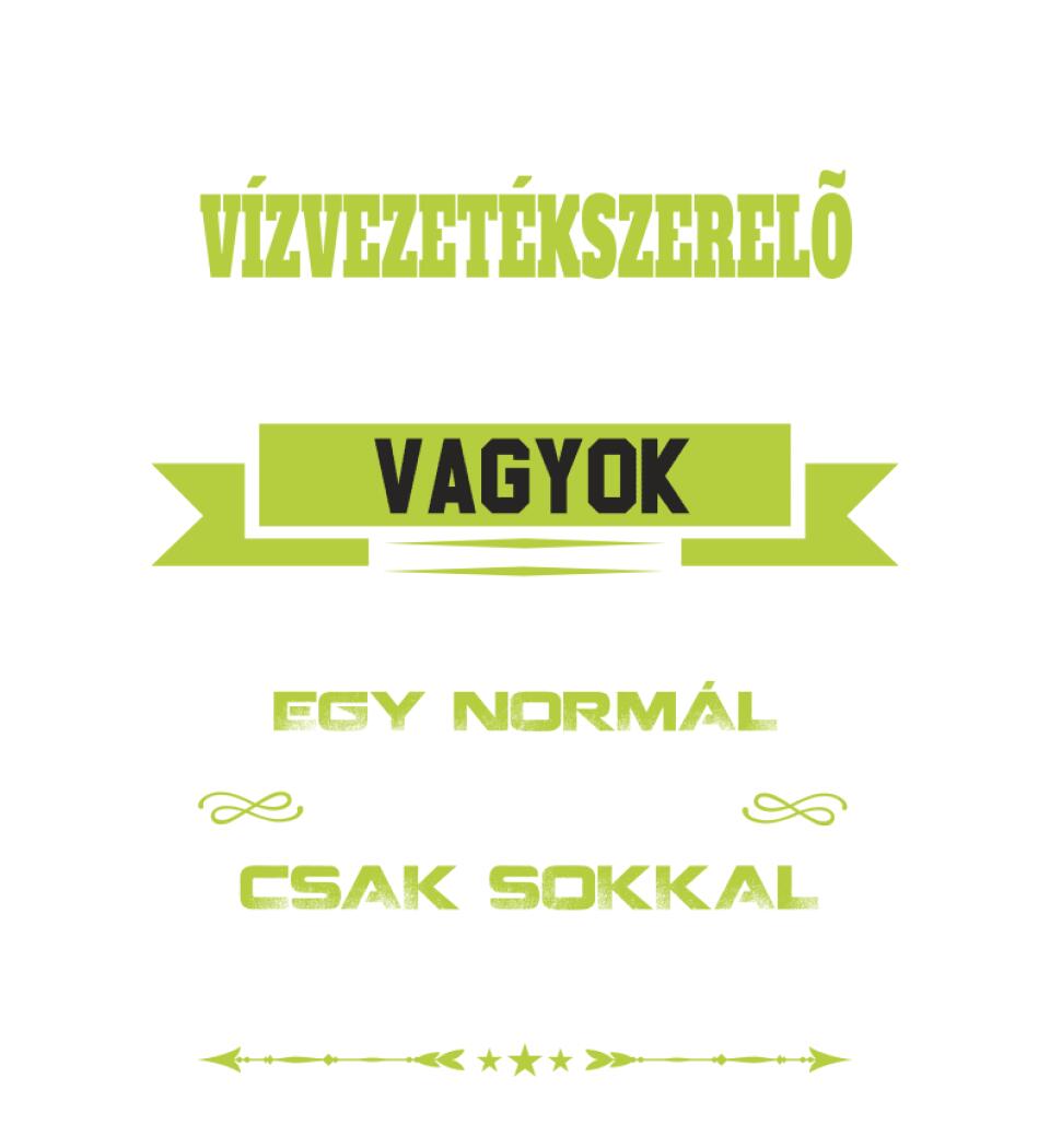 VÍZVEZETÉK SZERELŐ NAGYPAPA PÓLÓ