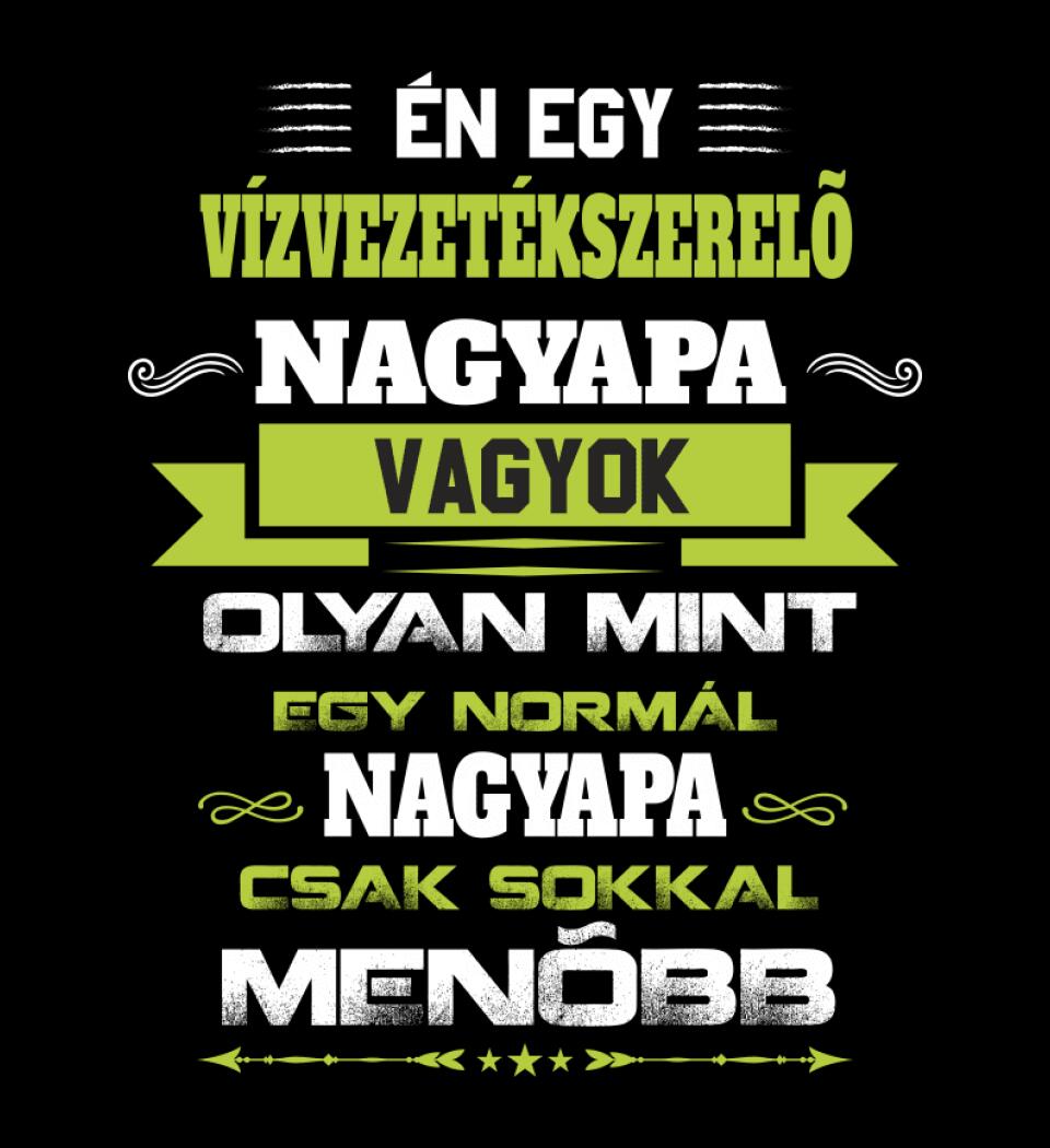 VÍZVEZETÉK SZERELŐ NAGYPAPA PÓLÓ