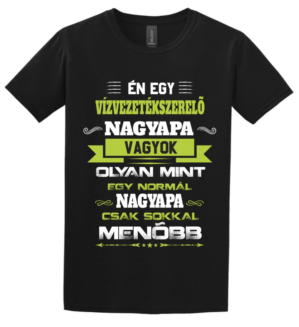 VÍZVEZETÉK SZERELŐ NAGYPAPA PÓLÓ